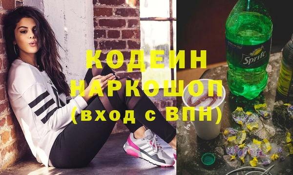 индика Михайлов