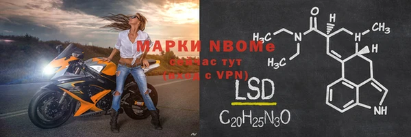 индика Вяземский
