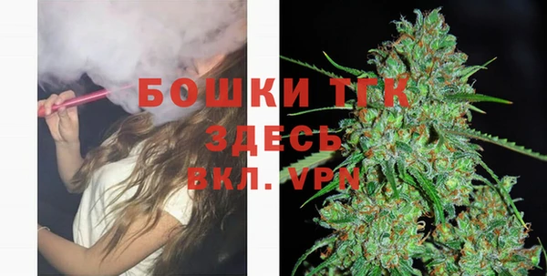 соль ск Горнозаводск