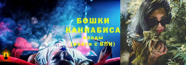 соль ск Горнозаводск