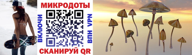 Псилоцибиновые грибы мицелий  блэк спрут tor  Новосокольники 