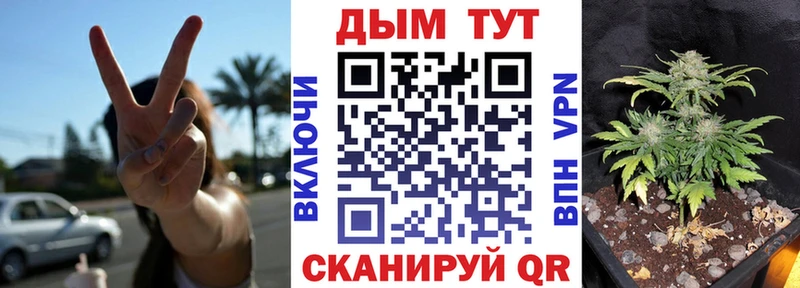 Бошки Шишки семена Новосокольники